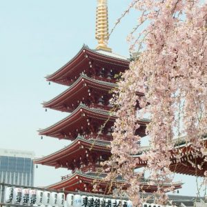 Japan tour4you