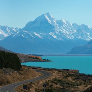 new zealand tour4you