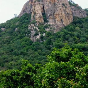 shri lanka Sigiriya Rock tour4you